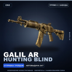 Galil AR | Hunting Blind | Прямо с завода · Скин Counter-Strike 2