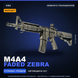 StatTrak™ M4A4 | Faded Zebra | Немного поношенное · Скин Counter-Strike 2