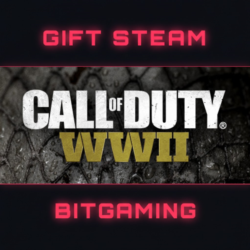 Call of Duty®: WWII Digital Deluxe Edition | РФ   МИР | АВТО