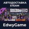 Football Manager 2024 In-game Editor · DLC STEAM GIFT · АВТОДОСТАВКА