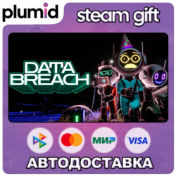 Data Breach Steam Gift / Россия   МИР / АВТО