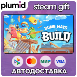Dumb Ways to Build Steam Gift / Россия   МИР / АВТО