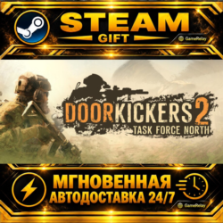 Door Kickers 2: Task Force North · STEAM GIFT · АВТОДОСТАВКА