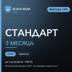 Black Bear VPN Стандартный 3 месяца VLESS и Hysteria2