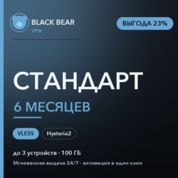 Black Bear VPN Стандартный 6 месяцев VLESS и Hysteria2
