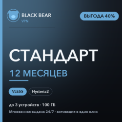 Black Bear VPN Стандартный 12 месяцев VLESS и Hysteria2