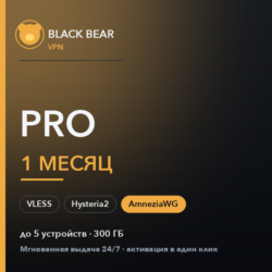 Black Bear VPN Pro 1 месяц AmneziaWG   VLESS   Hysteria2