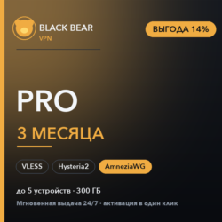 Black Bear VPN Pro 3 месяца AmneziaWG   VLESS   Hysteria2