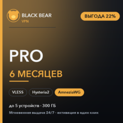 Black Bear VPN Pro 6 месяцев AmneziaWG   VLESS   Hysteria2