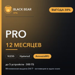 Black Bear VPN Pro 12 месяцев AmneziaWG   VLESS   Hysteria2