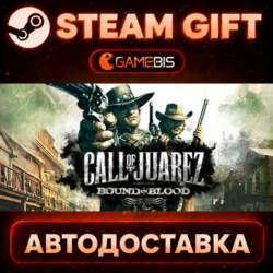 Call of Juarez: Bound in Blood — Steam Gift | СТИМ ГИФТ | АВТОДОСТАВКА
