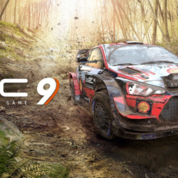 🔴Epic✅WRC 9 FIA World Rally Championship аккаунт почта💜