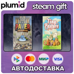 Paver: Tidy Up Together & Tiny Pasture Steam Gift / Россия   МИР / АВТО