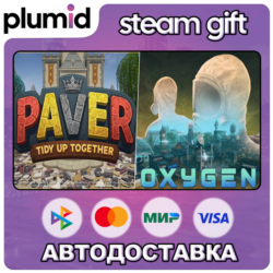 Paver Tidy Up Together - Oxygen Steam Gift / Россия   МИР / АВТО