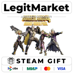 DLC Borderlands 4: Ornate Order Pack / Steam АВТО / РУ   МИР