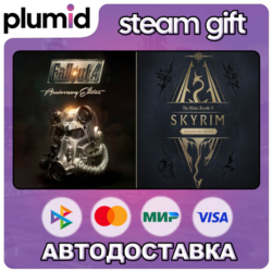 The Elder Scrolls V: Skyrim Anniversary Edition   Fallout 4:  Steam Gift / МИР / АВТО