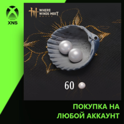 Where Winds Meet-60 Echo Beads Xbox PC | Любой аккаунт