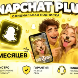 Подпишитесь на Snapchat Plus на 3/6/12 месяцев