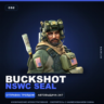 Buckshot | NSWC SEAL · Агент Counter-Strike 2