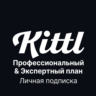 Kittl.com (собственная почта) | Тариф Pro / Expert |