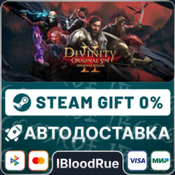 Divinity: Original Sin 2 - Definitive Edition  •РУ  МИР / STEAM АВТО, 0%