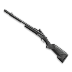 Stoeger Double Defence (3 часа)