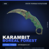 Karambit | Boreal Forest | После полевых испытаний · Скин Counter-Strike 2