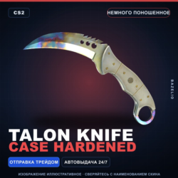 Talon Knife | Case Hardened | Немного поношенное · Скин Counter-Strike 2