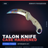 Talon Knife | Case Hardened | Немного поношенное · Скин Counter-Strike 2