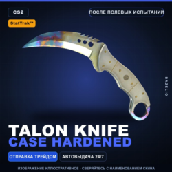 StatTrak™ Talon Knife | Case Hardened | После полевых испытаний · Скин CS2