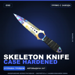 Skeleton Knife | Case Hardened | Прямо с завода · Скин Counter-Strike 2