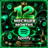 SPOTIFY PREMIUM 12 МЕСЯЦЕВ    ЛЮБОЙ АККАУНТ      ГАРАНТИЯ