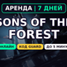 Sons of the Forest (Аренда аккаунта Steam) Онлайн • 7 дней • Автовыдача • Код Guard 2