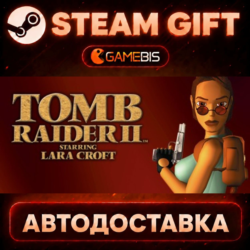 Tomb Raider II — Steam Gift | СТИМ ГИФТ | АВТОДОСТАВКА