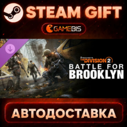 Tom Clancy&acute;s The Division 2  Battle for Brooklyn DLC (DLC) — Steam Gift | СТИМ ГИФТ