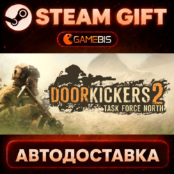 Door Kickers 2 — Steam Gift | СТИМ ГИФТ | АВТОДОСТАВКА