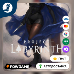 🟡 Project - Labyrinth 🎁 STEAM GIFT 🚀 Выбор региона ⚡ АВТОДОСТАВКА