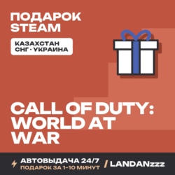 Call of Duty: World at War | Подарок Steam | Автодоставка 24/7