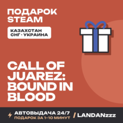 Call of Juarez: Bound in Blood | Подарок Steam | Автодоставка 24/7