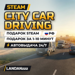City Car Driving | Подарок Steam | Автодоставка 24/7