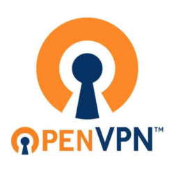 OpenVPN-Connect | VPN-серверы в более чем 100 странах мира