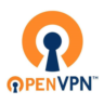 OpenVPN-Connect | VPN-серверы в более чем 100 странах мира