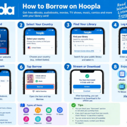 Hoopla License account 1 Months