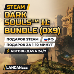 DARK SOULS II: Bundle (DX9) | Подарок Steam | РФ | Автодоставка 24/7
