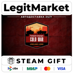 DLC Flashpoint Campaigns: Cold War - Lowland Lions / Steam АВТО / РУ   МИР