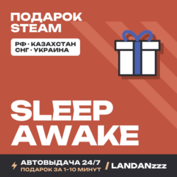 SLEEP AWAKE | Подарок Steam | РФ | Автодоставка 24/7