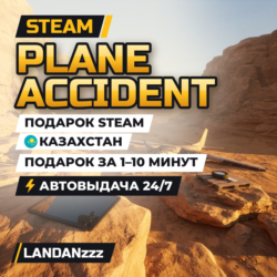Plane Accident | Подарок Steam | Казахстан | Автодоставка 24/7