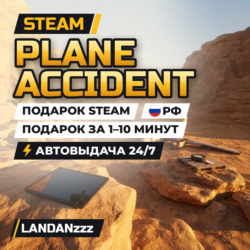 Plane Accident | Подарок Steam | РФ | Автодоставка 24/7