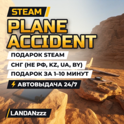 Plane Accident | Подарок Steam | СНГ (не РФ, KZ, UA, BY) | Автодоставка 24/7