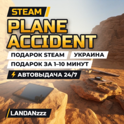 Plane Accident | Подарок Steam | Украина | Автодоставка 24/7